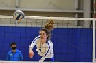 Wheaton Women's Volleyball  Wheaton Women's Volleyball vs Smith College. - Photo by Keith Nordstrom : Wheaton, Volleyball, Smith